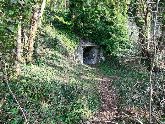 Fe09 Côte de la Vierge