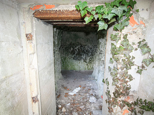 Fe09 Côte de la Vierge