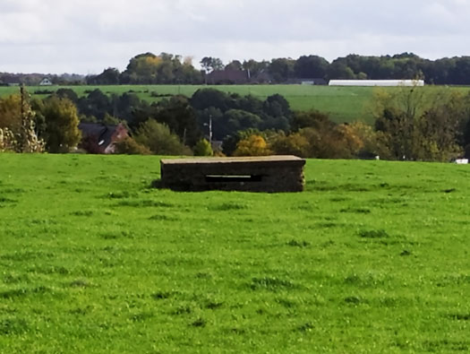 Wn83 Fontaine-la-Mallet les Monts-Trottins - Batterie.