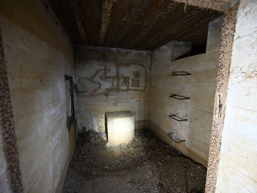 Wn83 Fontaine-la-Mallet les Monts-Trottins - Batterie.