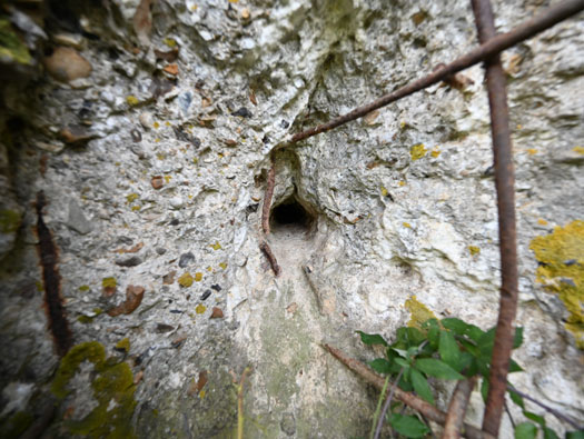 Wn83 Fontaine-la-Mallet les Monts-Trottins - Batterie.