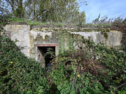 Wn83 Fontaine-la-Mallet les Monts-Trottins - Batterie.