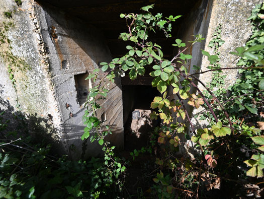Wn83 Fontaine-la-Mallet les Monts-Trottins - Batterie.