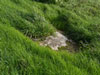 Wn83 Fontaine-la-Mallet les Monts-Trottins - Batterie.