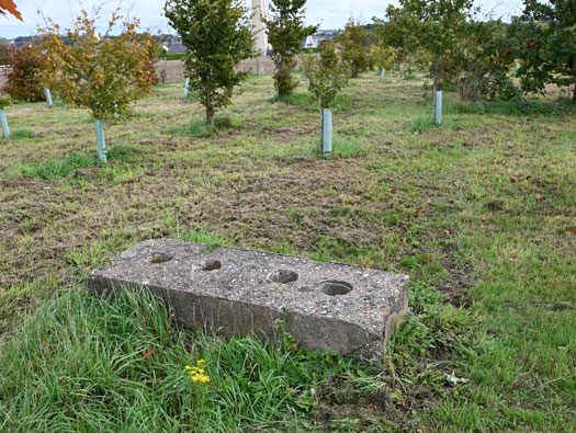 Wn83 Fontaine-la-Mallet les Monts-Trottins R622