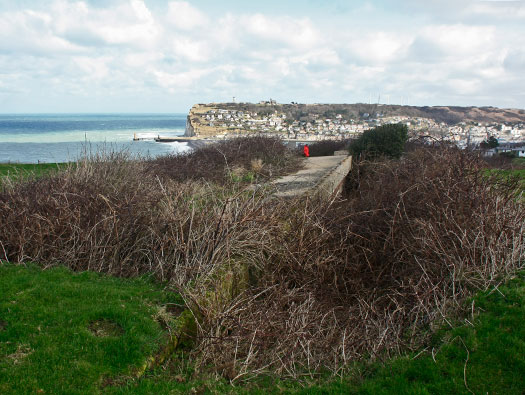 Fe013 Fécamp Falaise aval
