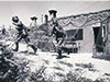 Fe013 Fécamp Falaise aval