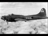 B17.