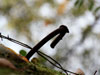 Camouflage net hook.