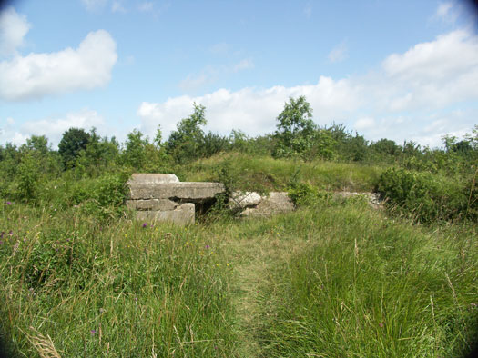 Vill013 Benerville, H.K.B.  Canisy 
  Batterie 2./H.K.A.A. 1255