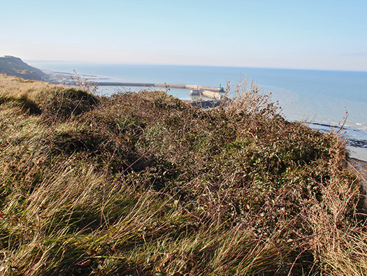 StP55 Port-en-Bessin