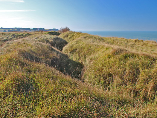 StP55 Port-en-Bessin