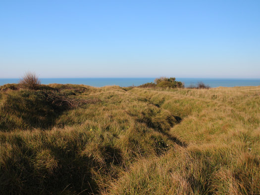 StP55 Port-en-Bessin