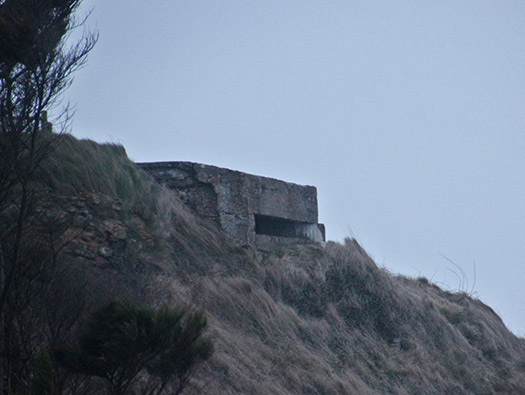 Wn57 Port-en-Bessin ouest