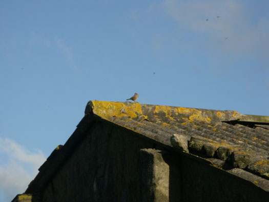 RAF Davidstow Moor, Site No.13 Quarters.