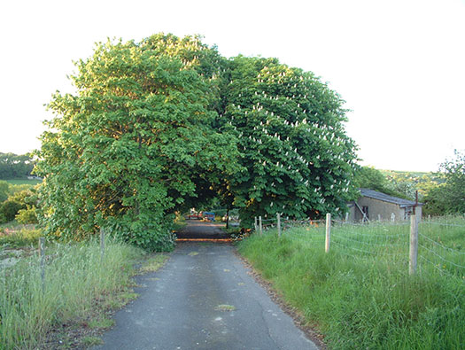 RAF Ringstead Communal Camp