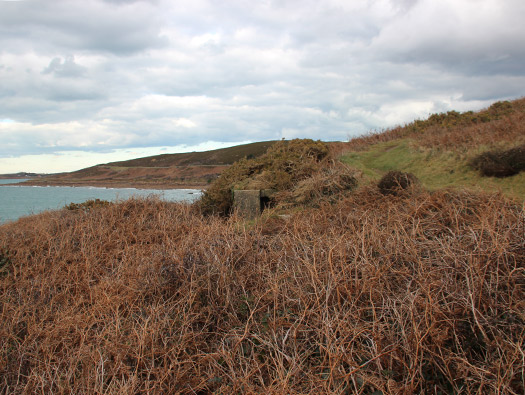 Wn203 Pointe du Brick
