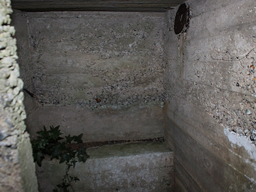 Wn203 Pointe du Brick