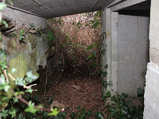 Wn203 Pointe du Brick