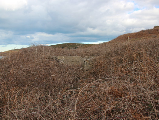 Wn203 Pointe du Brick