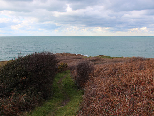 Wn203 Pointe du Brick