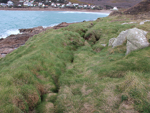 Wn203 Pointe du Brick