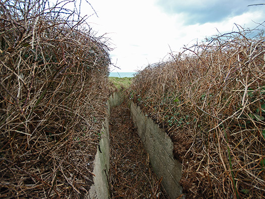 Wn203 Pointe du Brick