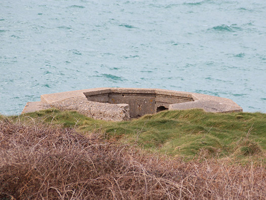 Wn203 Pointe du Brick