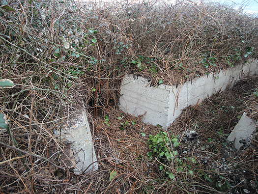 Wn203 Pointe du Brick