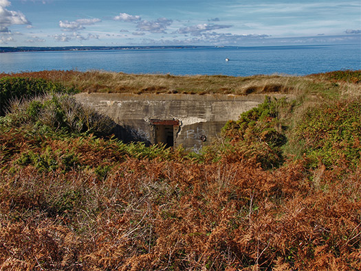 Wn203 Pointe du Brick