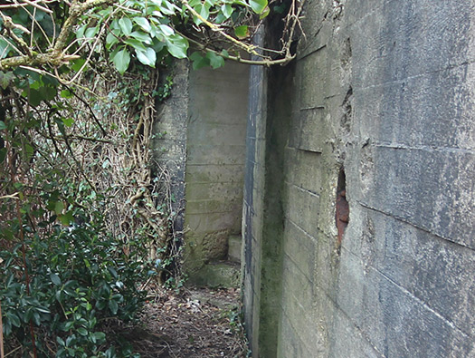 Wn203 Pointe du Brick