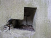 Niche for a speaking tube or field telephone