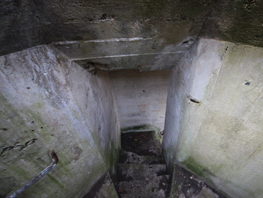 Wn203 Pointe du Brick