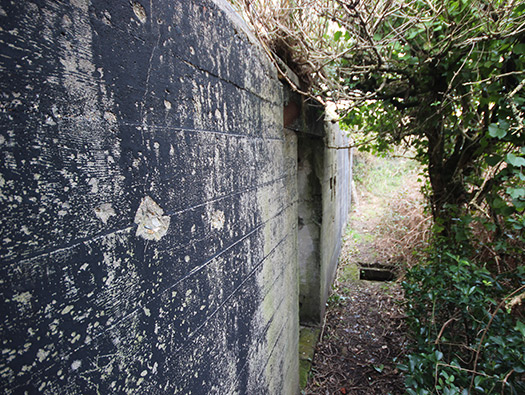 Wn203 Pointe du Brick