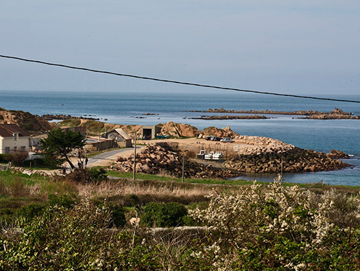 Wn201a Port Pignot (StP Cap Lévi) Seeadler