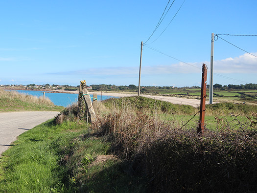 Wn201a Port Pignot (StP Cap Lévi) Seeadler