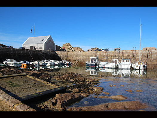 Wn201a Port Pignot (StP Cap Lévi) Seeadler