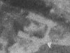 MG 1.