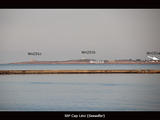 Wn201c Lighthouse (StP Cap Lévi) Seeadler