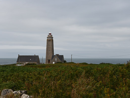 Wn201c Lighthouse (StP Cap Lévi) Seeadler