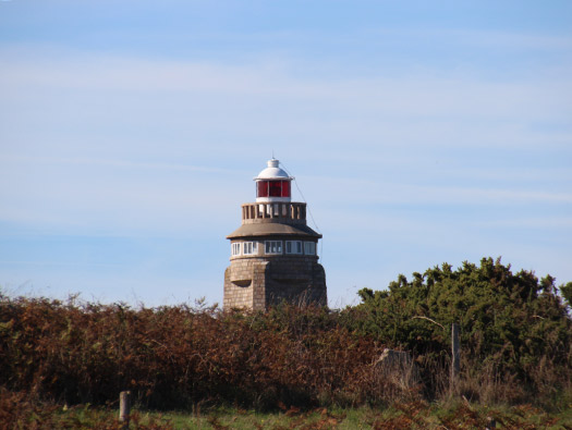 Wn201c Lighthouse (StP Cap Lévi) Seeadler