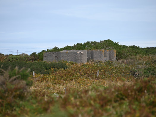Wn201d Pointe du vieux fort (StP Cap Lévi) Seeadler