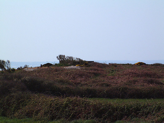 Wn201d Pointe du vieux fort (StP Cap Lévi) Seeadler