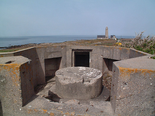 Wn201d Pointe du vieux fort (StP Cap Lévi) Seeadler