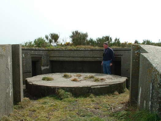 Wn201d Pointe du vieux fort (StP Cap Lévi) Seeadler