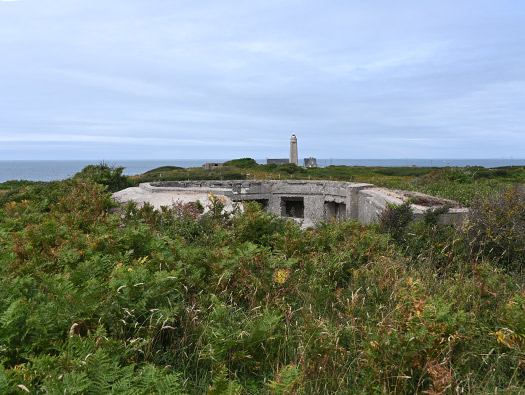 Wn201d Pointe du vieux fort (StP Cap Lévi) Seeadler