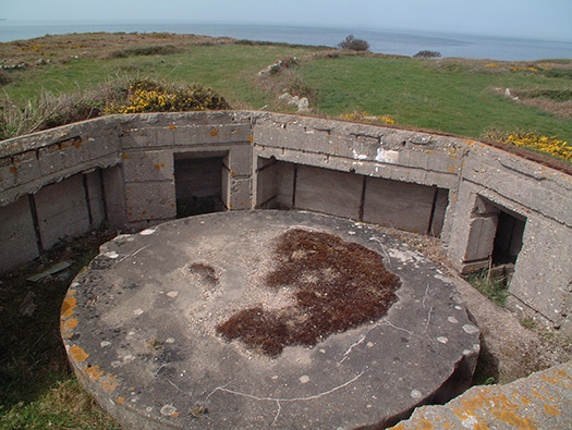 Wn201d Pointe du vieux fort (StP Cap Lévi) Seeadler