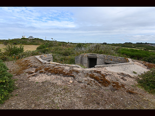 Wn201d Pointe du vieux fort (StP Cap Lévi) Seeadler
