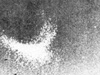 'Window' (Chaff) being dropped from Lancaster bombers over Berlin.