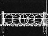 Barbed wire.